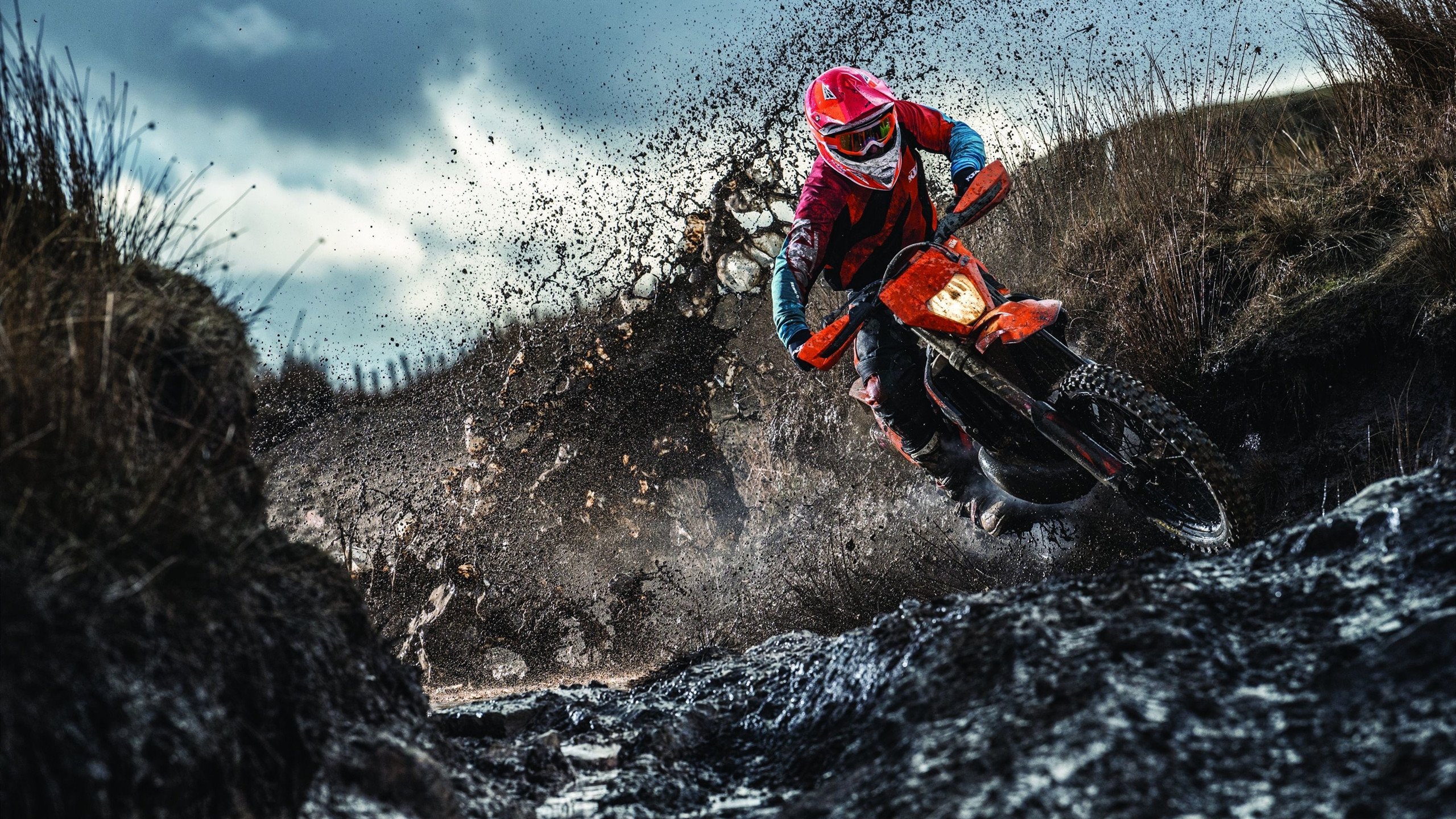 德甲冠军之争：拜仁连续追赶，在关键战中取胜，拜仁豪夺德甲九连冠